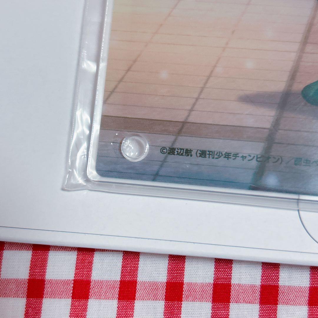 手嶋純太　青八木一　アクリルパネル　弱虫ペダル　冬の帰り道