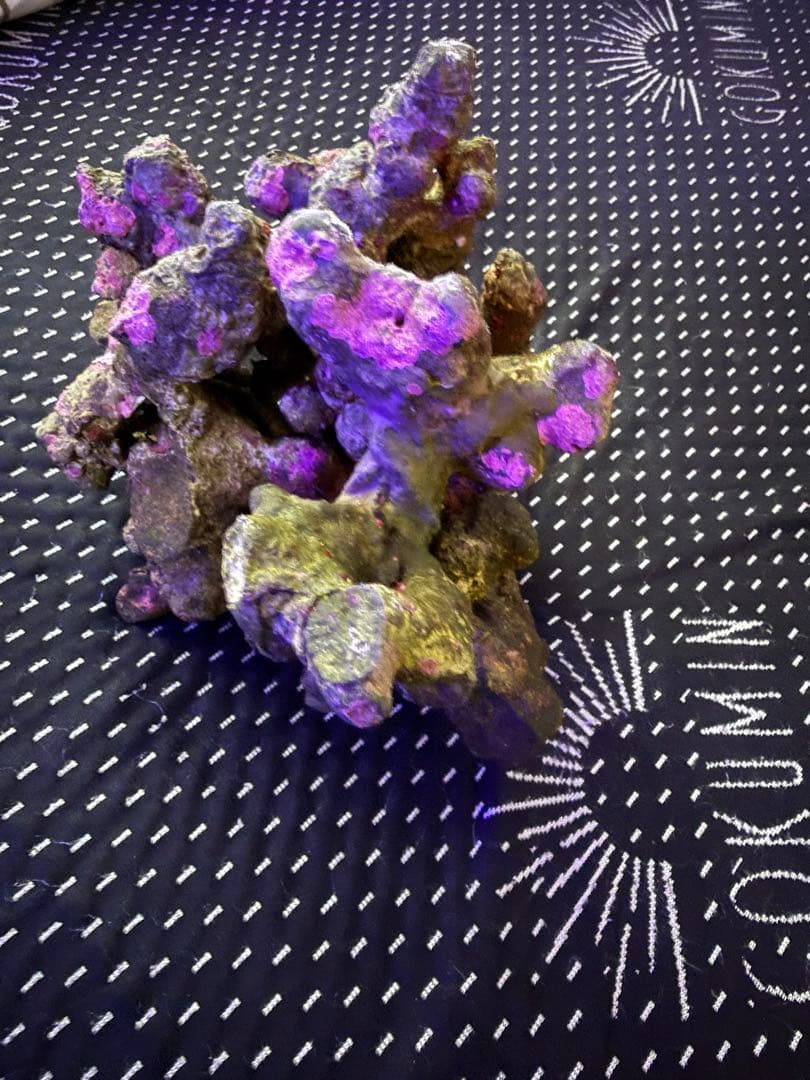 ライブロック　デスロック