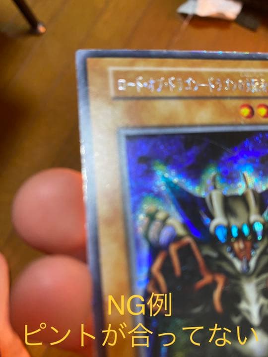 写真撮影の参考にしてください