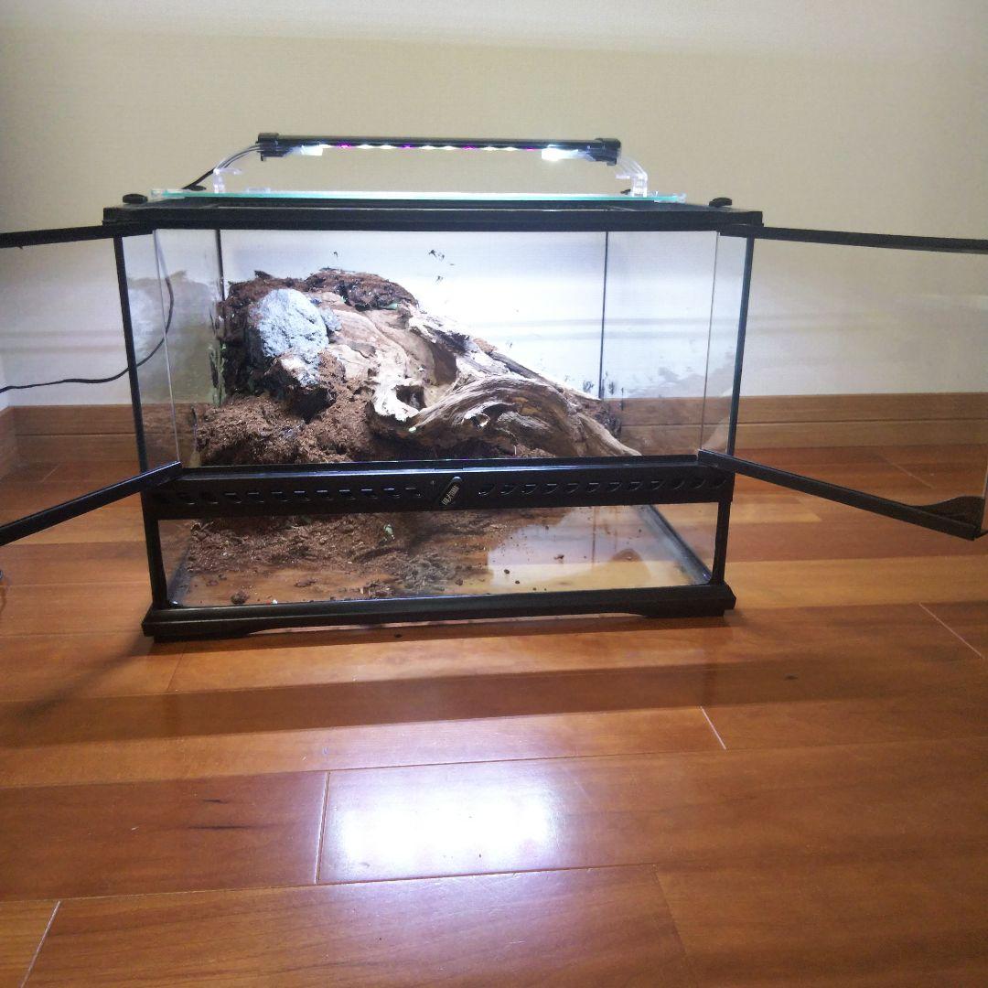 【受注生産】爬虫類飼育ケージ　テラリウム　ビバリウム