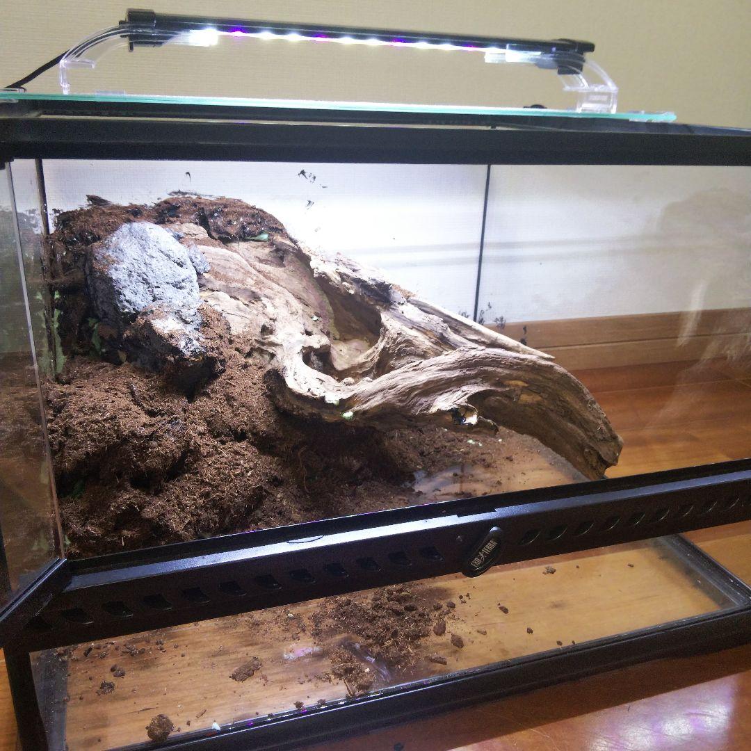 【受注生産】爬虫類飼育ケージ　テラリウム　ビバリウム