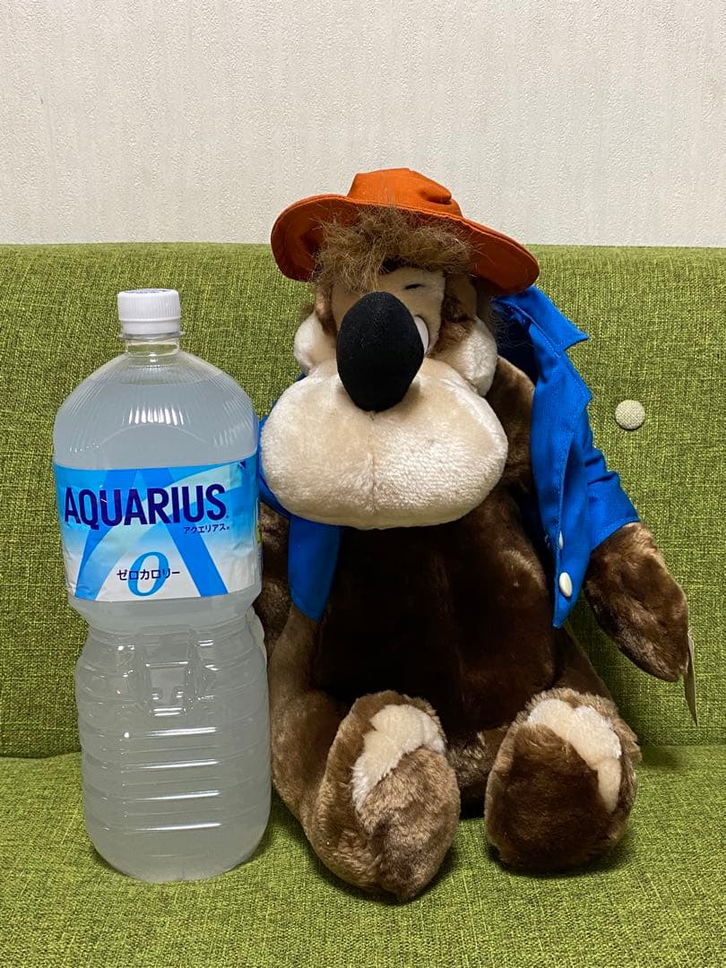 東京ディズニーランド　くまどん　ぬいぐるみ