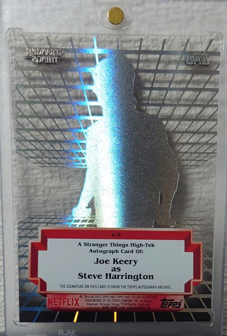 ストレンジャーシングス スティーブ auto サインStrangerthings