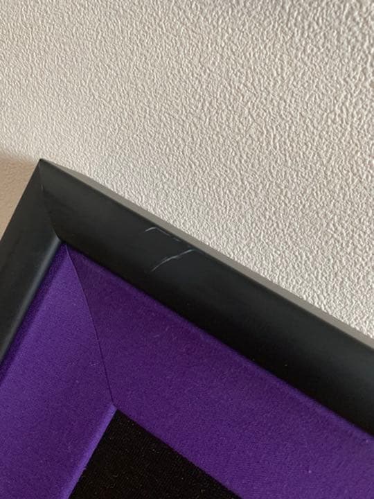 ホーンテッドマンション　絵　アート　ディズニー　レア　限定