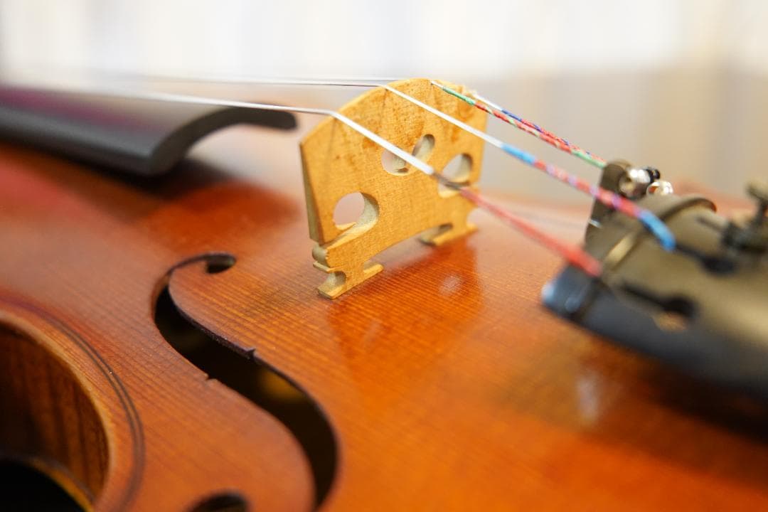 【美・良音】ローデリヒペゾルト　バイオリン Paesold 804 4/4　☆5