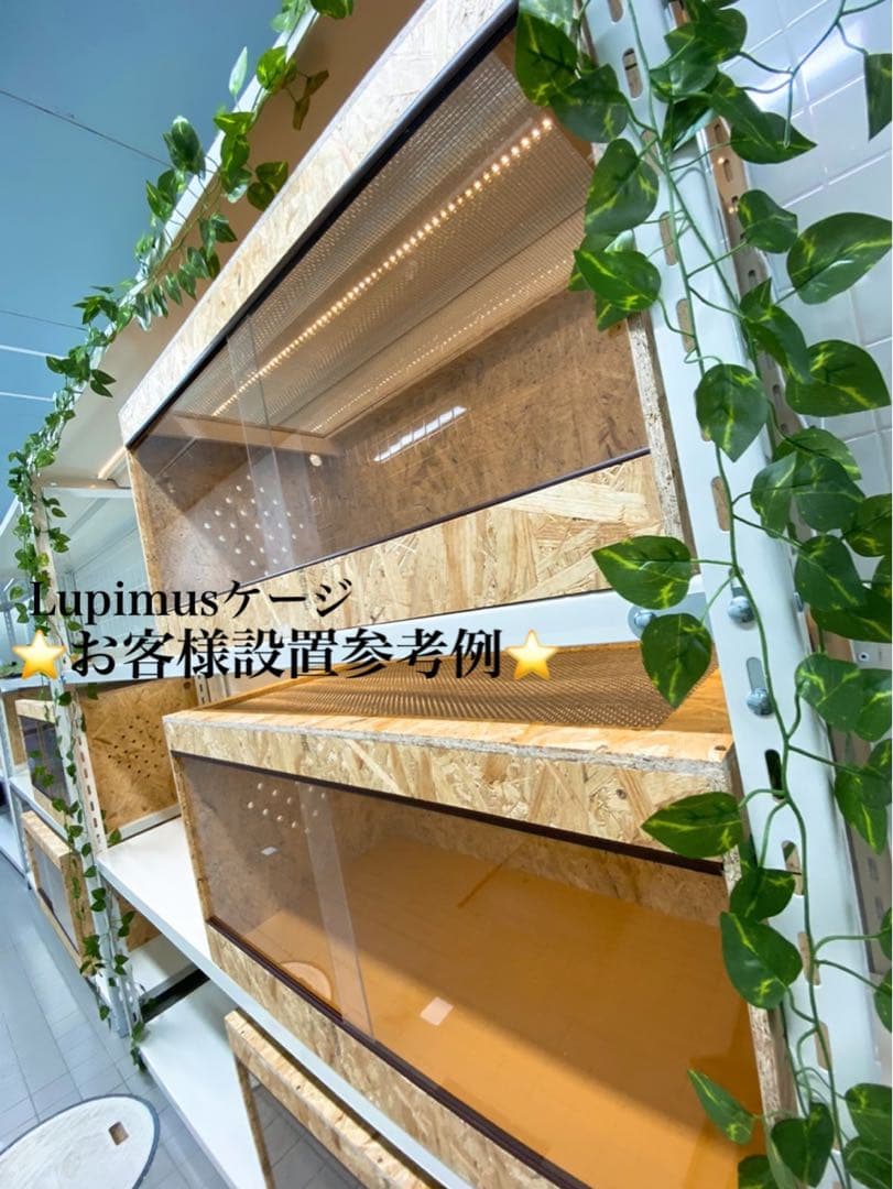 爬虫類ケージ　爬虫類飼育ゲージ　90×45×45サイズ　天井ノーマル仕様