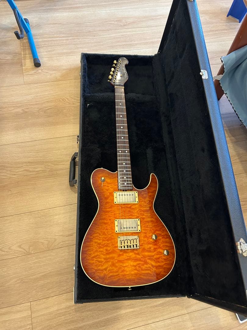 DON GROSH GUITAR ＃２１８