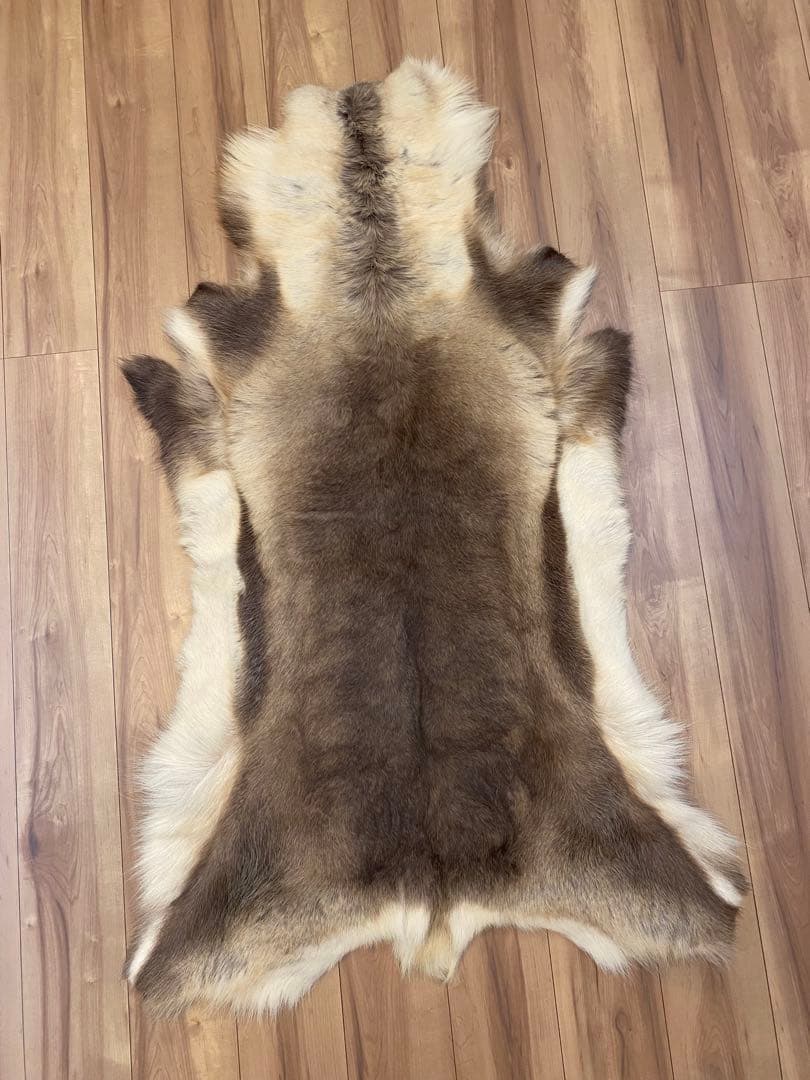 トナカイ　ファー　毛皮　ビッグサイズ　希少