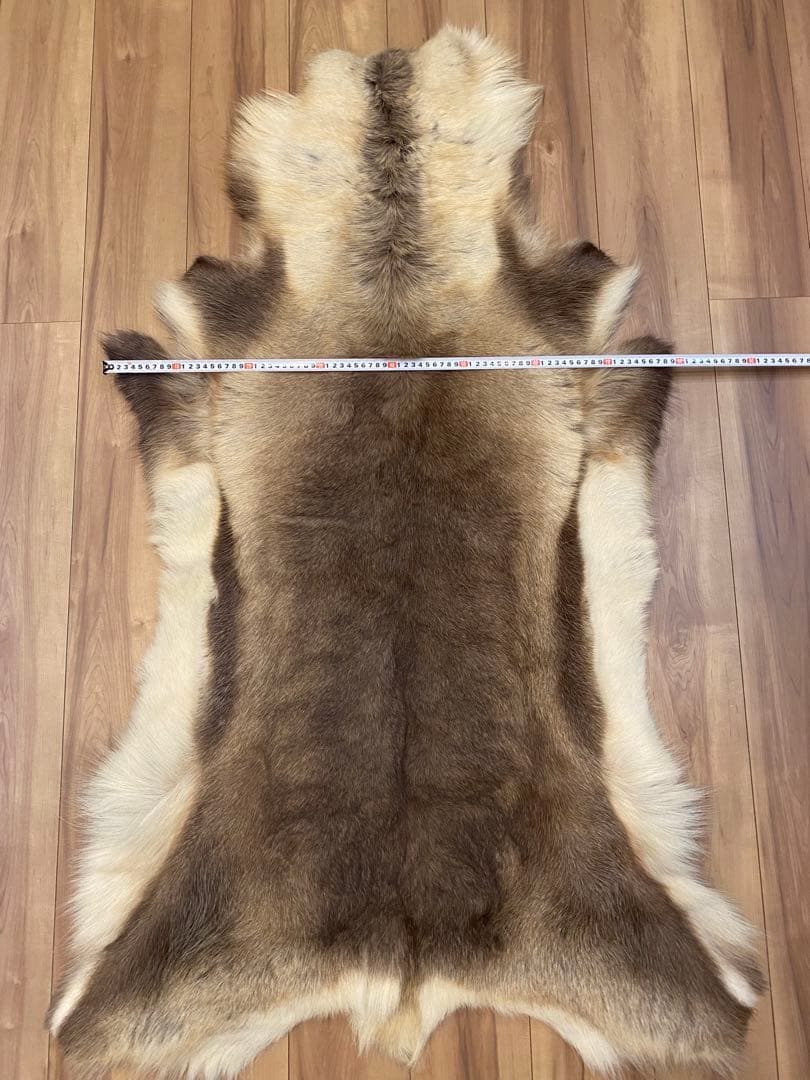 トナカイ　ファー　毛皮　ビッグサイズ　希少