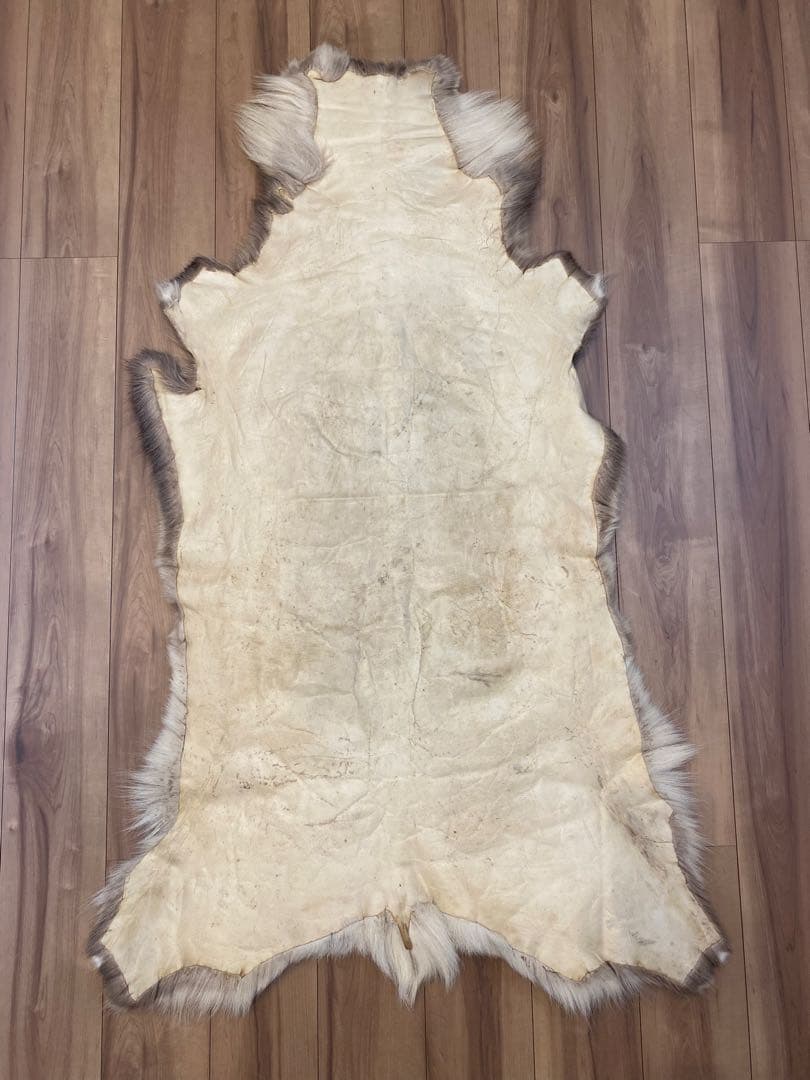 トナカイ　ファー　毛皮　ビッグサイズ　希少