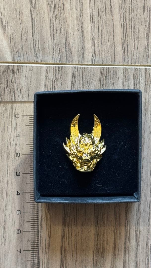 牙狼 10周年 ピンバッジ 【非売品】