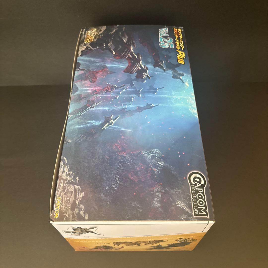 スタンダードモデル　plus vol.25