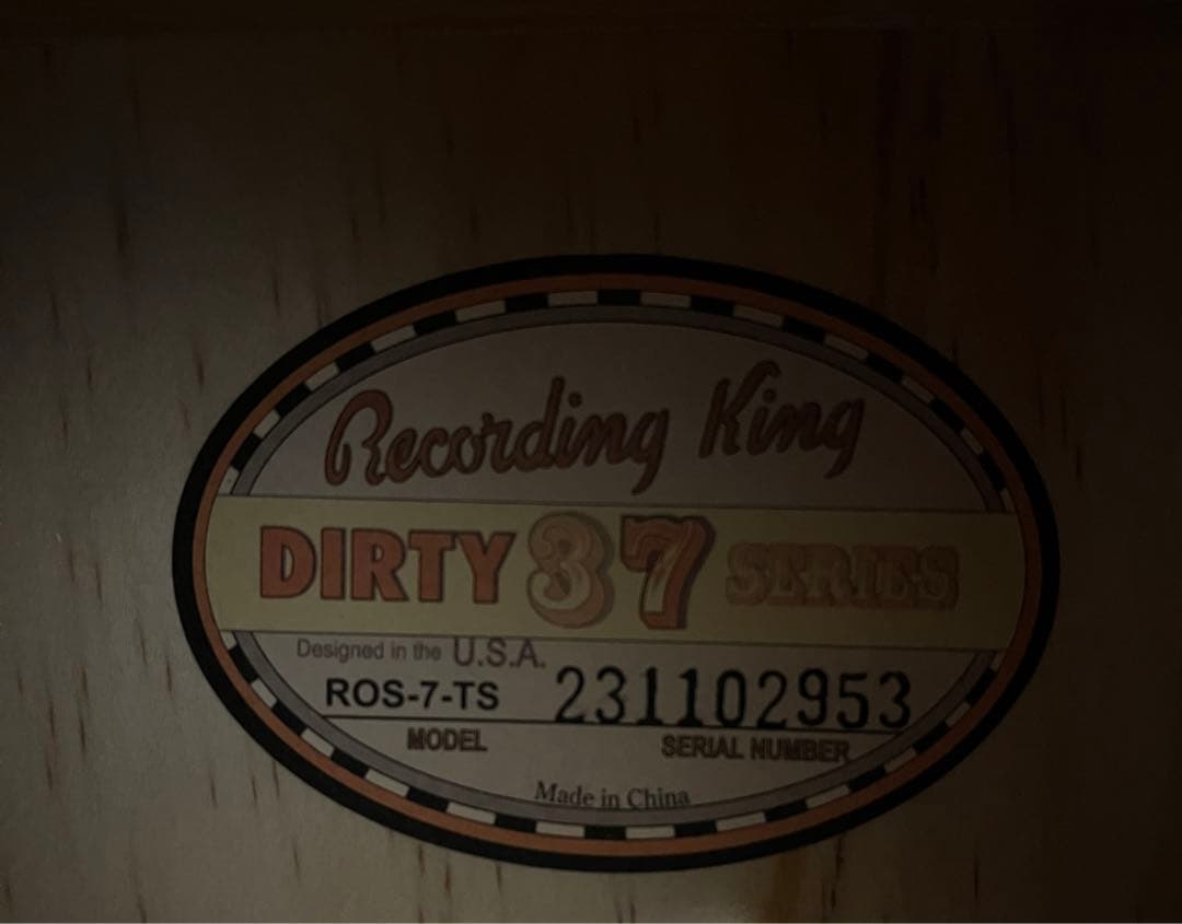 Recording King ROS-7-TS アコースティックギター