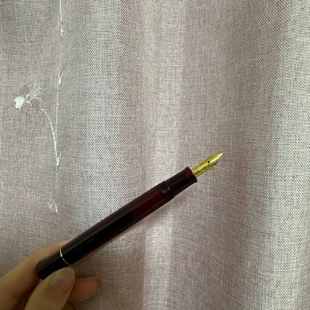 Pelikan 4001 万年筆とインクセット