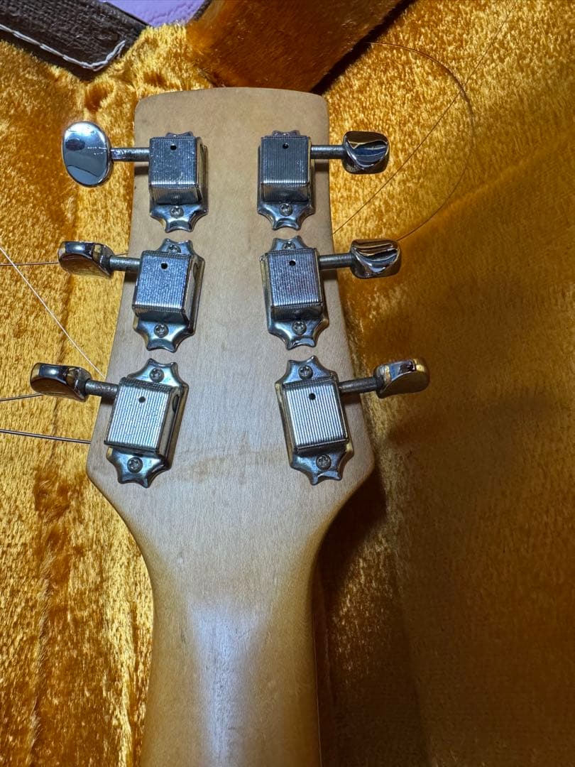 シャーベル　サーフキャスター　ビザール系