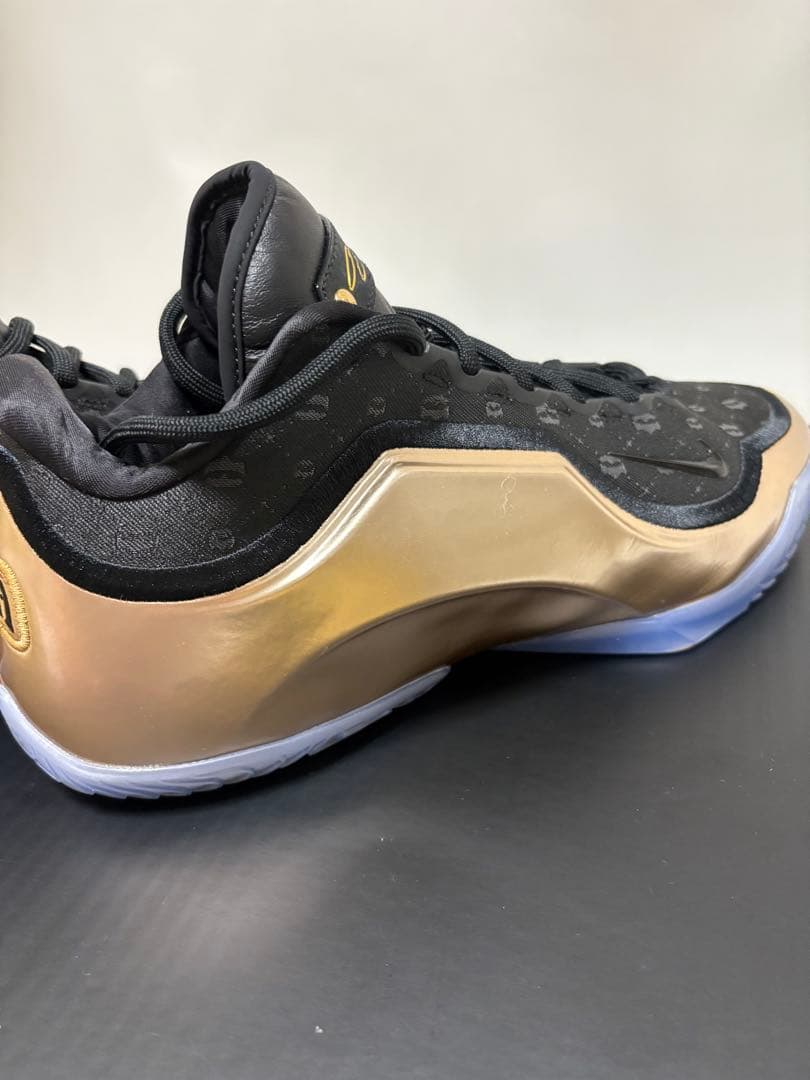 シューズ(男性用) Nike LeBron 23 EP \"Chosen One\"