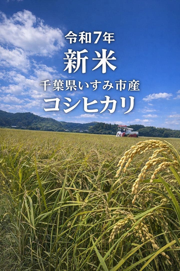 ☆早い者勝ち☆新米 コシヒカリ 令和7年産 千葉県いすみ市産　白米　無洗米