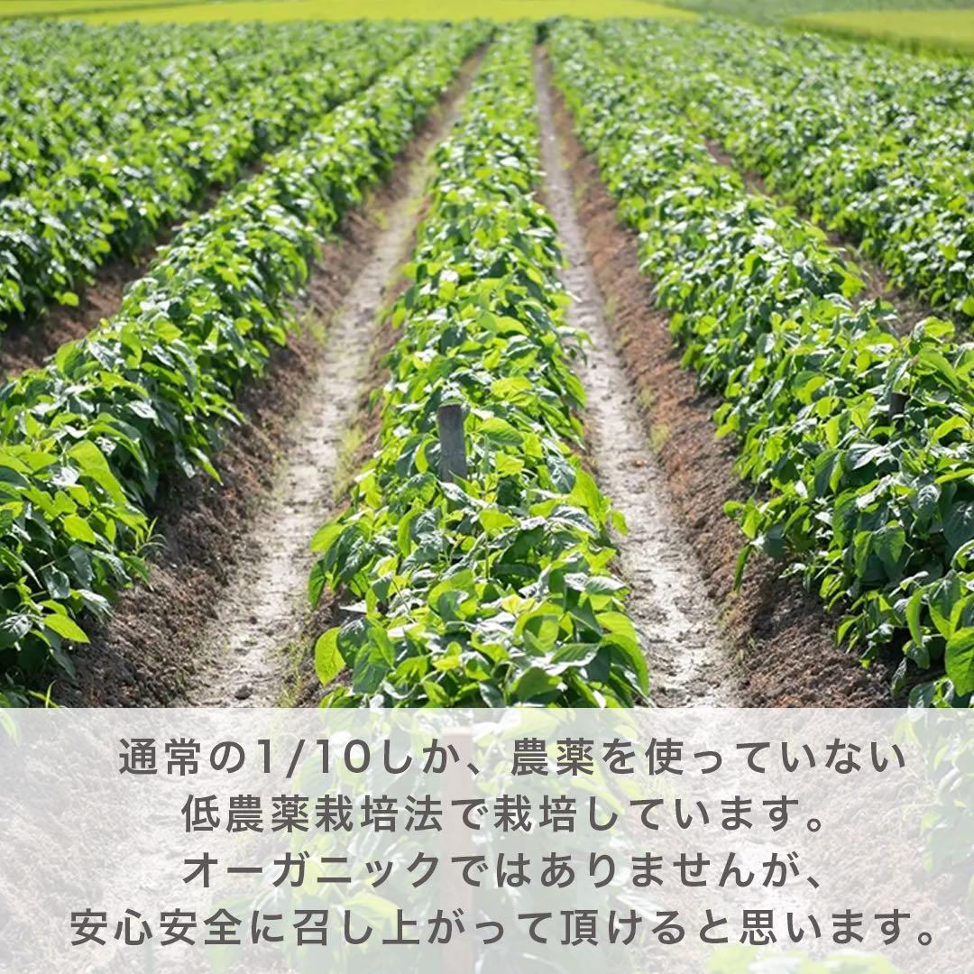《新鮮》 兵庫県丹波篠山産　丹波黒枝豆　5キロ 低農薬栽培 黒大豆