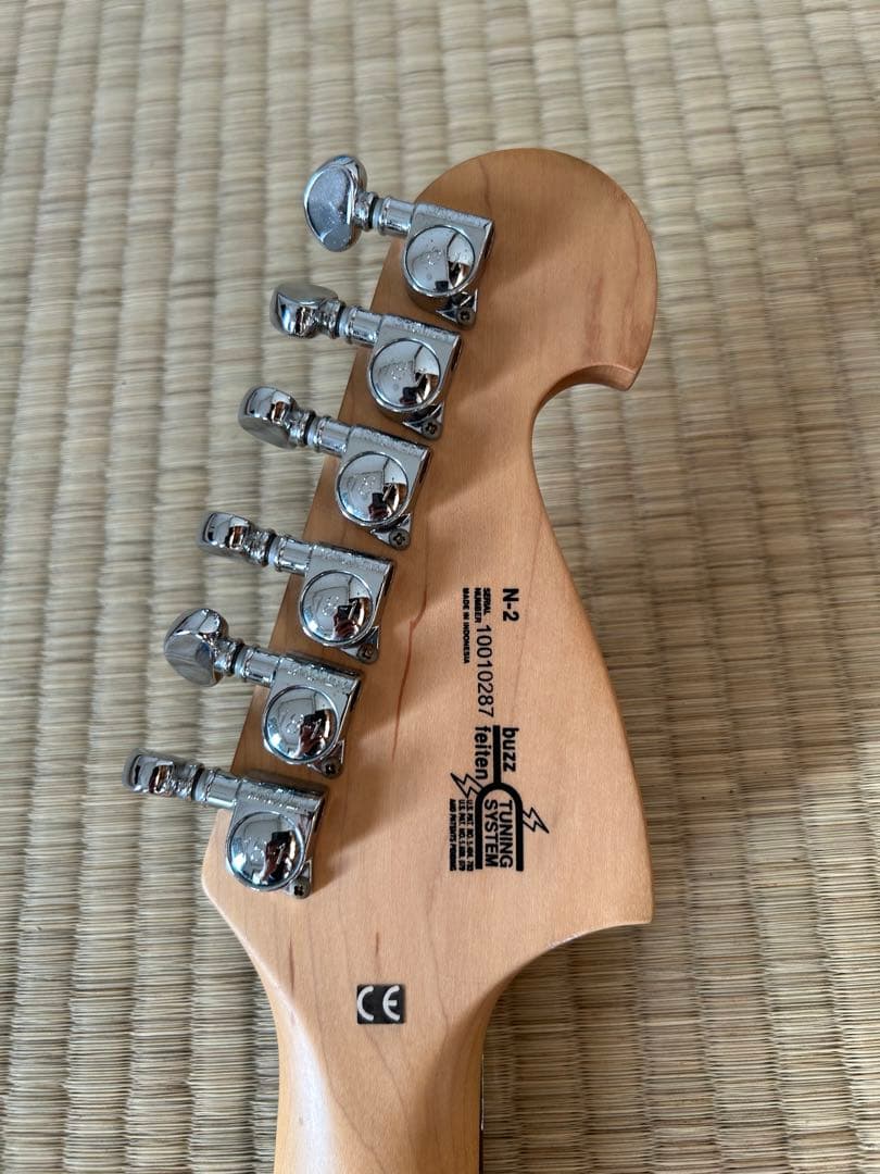 4*4様 Washburn Signature Model N2-NUNO