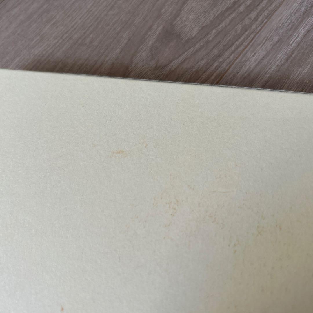 純銀メダル　平成28年8月8日記念