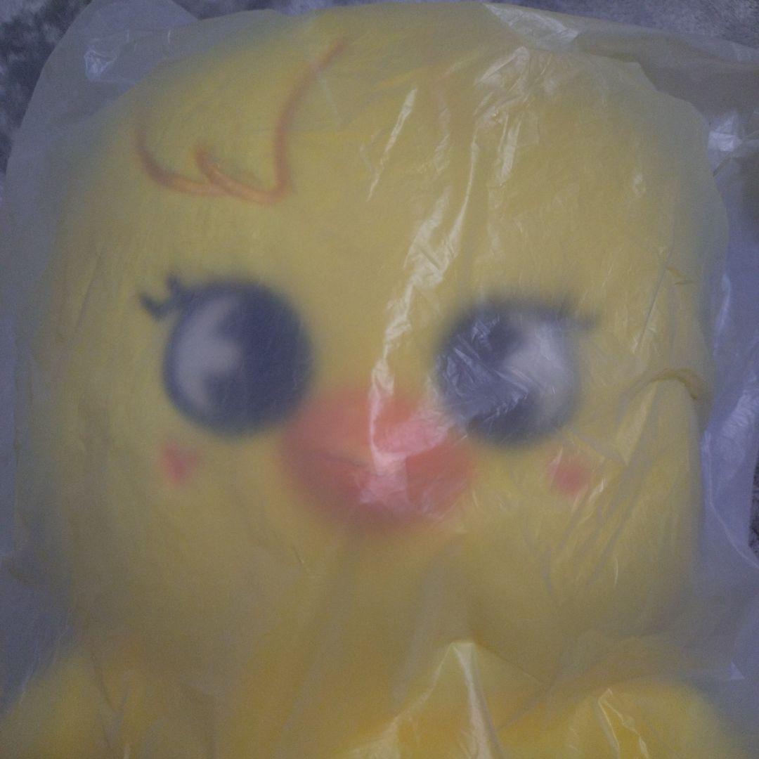 くも　StrayKids　テディベア　ボッカリ　、フォクシニー