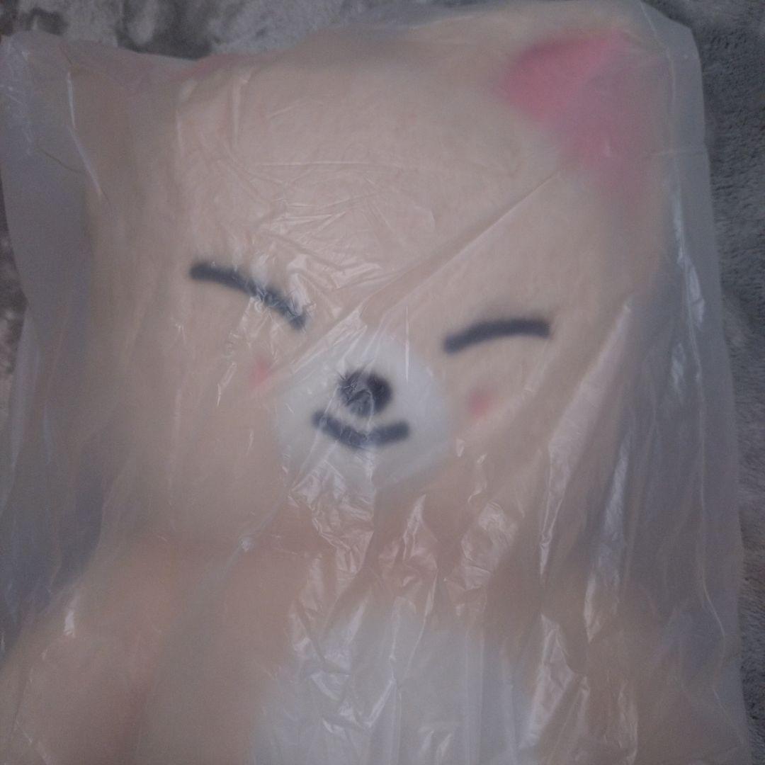 くも　StrayKids　テディベア　ボッカリ　、フォクシニー