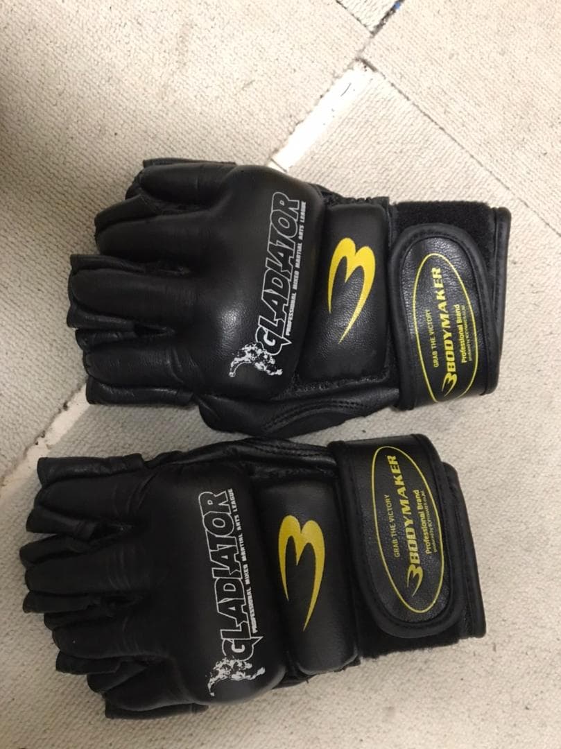 ファイティングロード　サンドバッグ（グローブ付き）