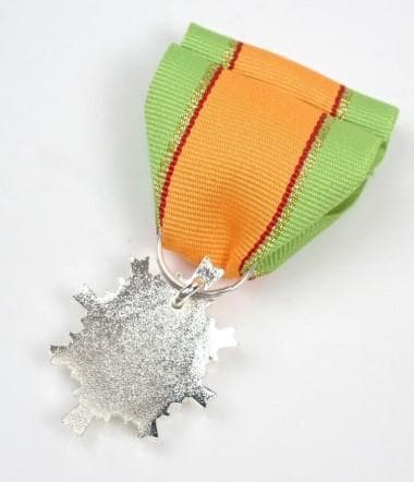 第5級防衛功労章操縦無事故、募集功労等、箱はベルベット物