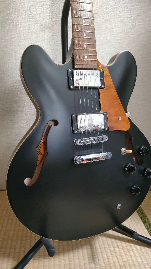 Kaalena KA-SA-STD エレキギター セミアコ