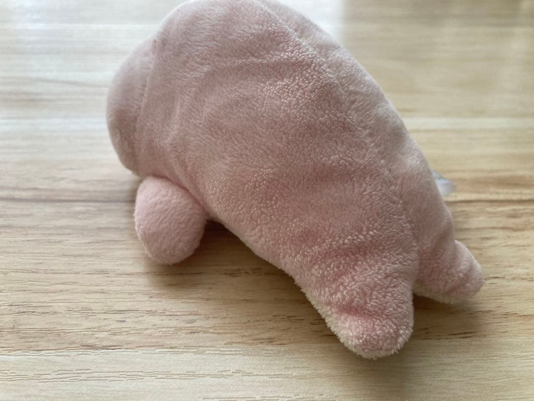 まめゴマ　さくらゴマ　ぬいぐるみ　小　San-X