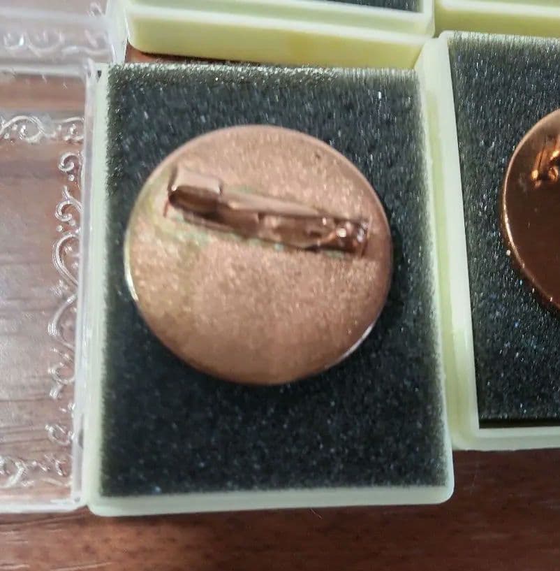 第2回ポケモンリーグ公式大会 勝利のジムバッチ【非売品】