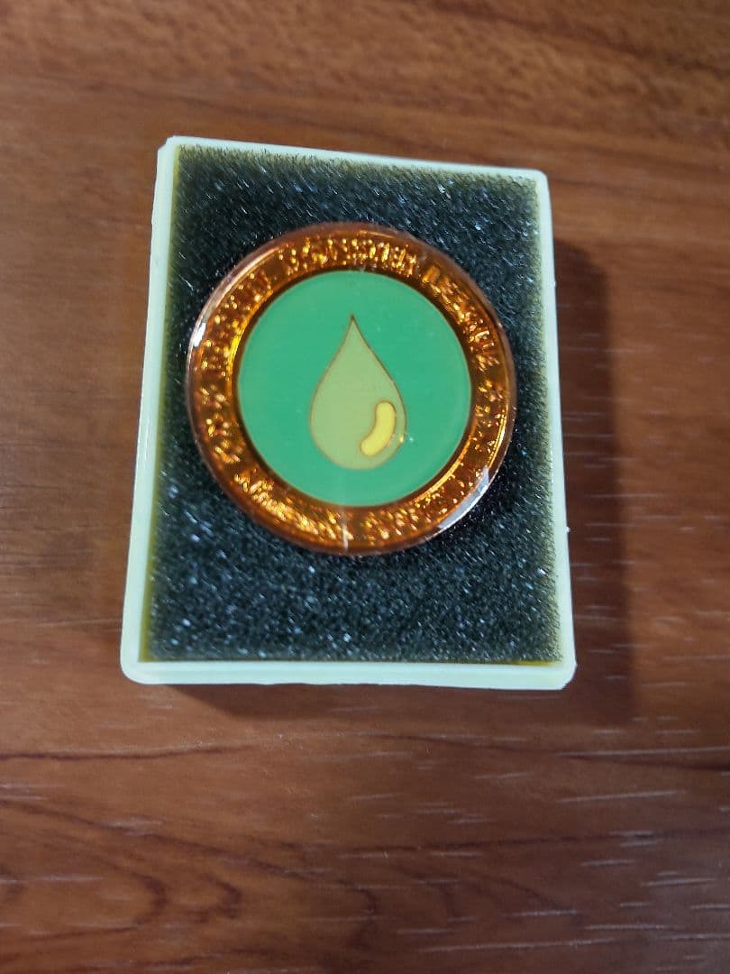 第2回ポケモンリーグ公式大会 勝利のジムバッチ【非売品】