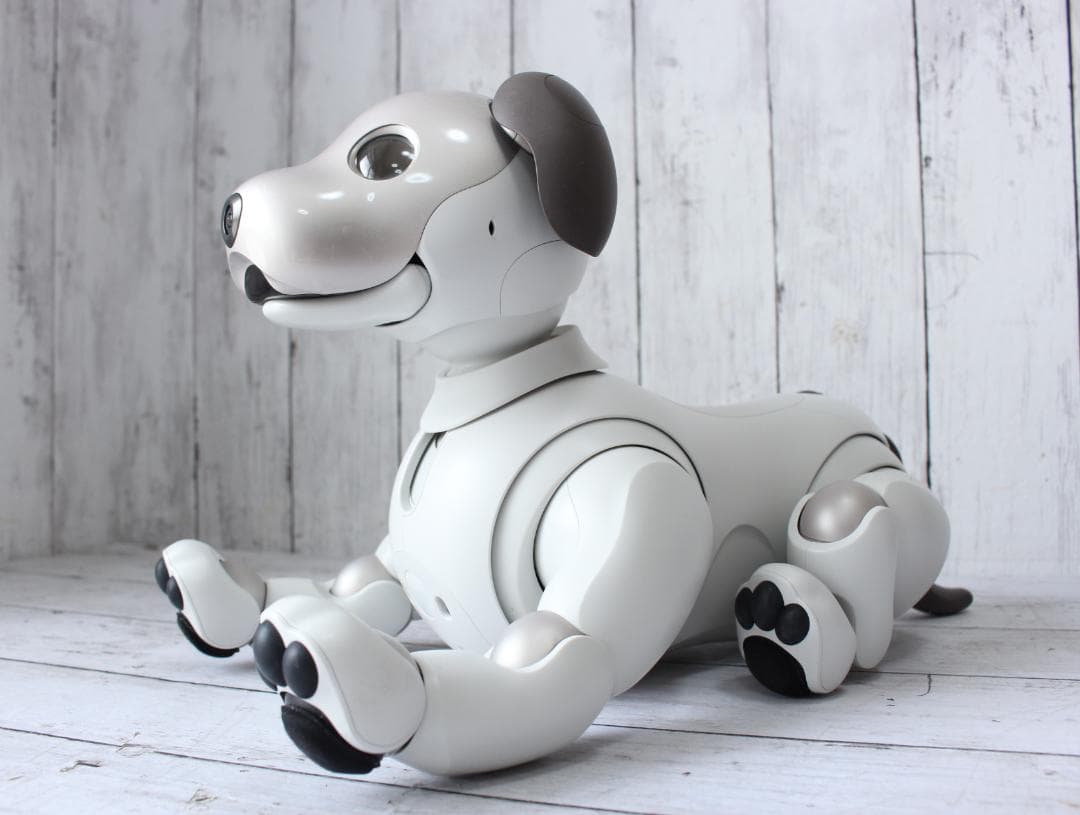 SONY AIBO アイボ 本体 ERS-1000 SIMカードなし
