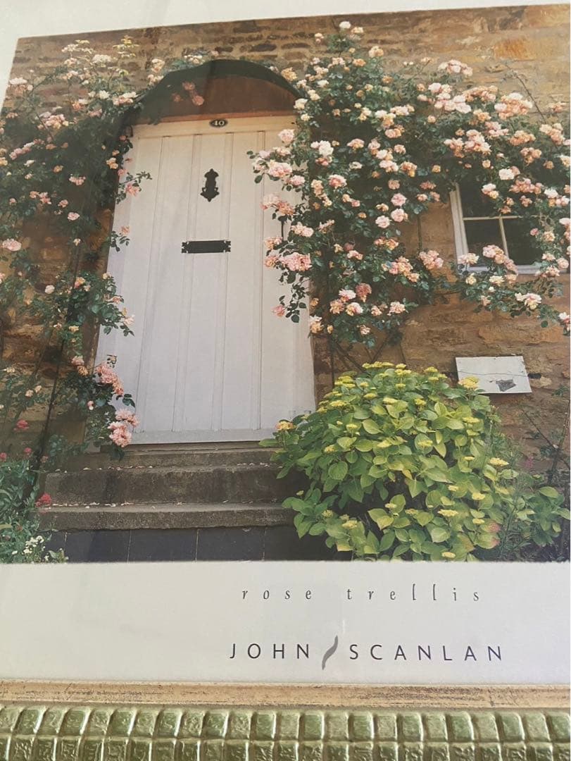 ジョン・スキャンラン　「JOHN SCANLAN」 写真