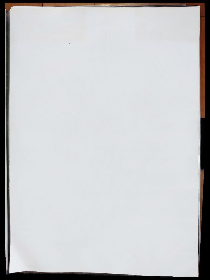 非売品 エヴァンゲリオン ポスター2枚セット