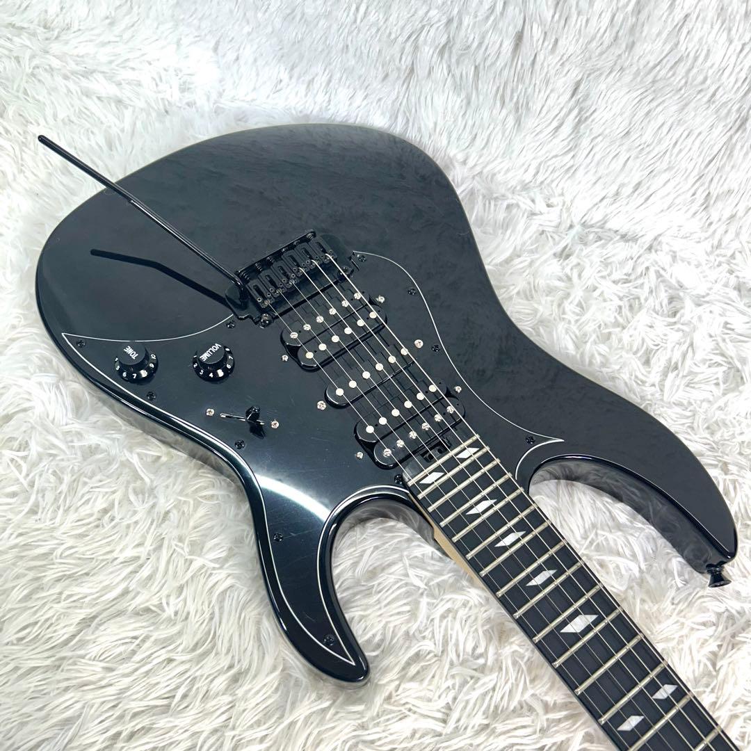 Legator N6SS-LBE レガター マホガニー × エボニー