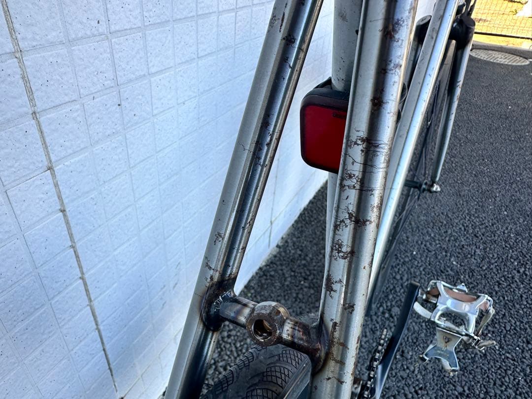 自転車本体 LEADER ANGELINO PTG Size M Trans Raw