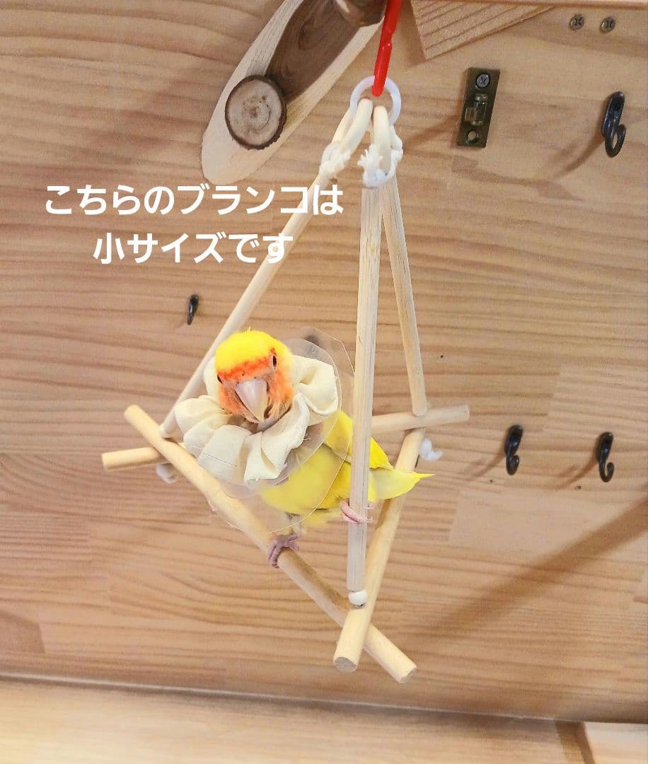 5　バードアスレチック　ブランコ(大)　インコ　バードトイ　止まり木