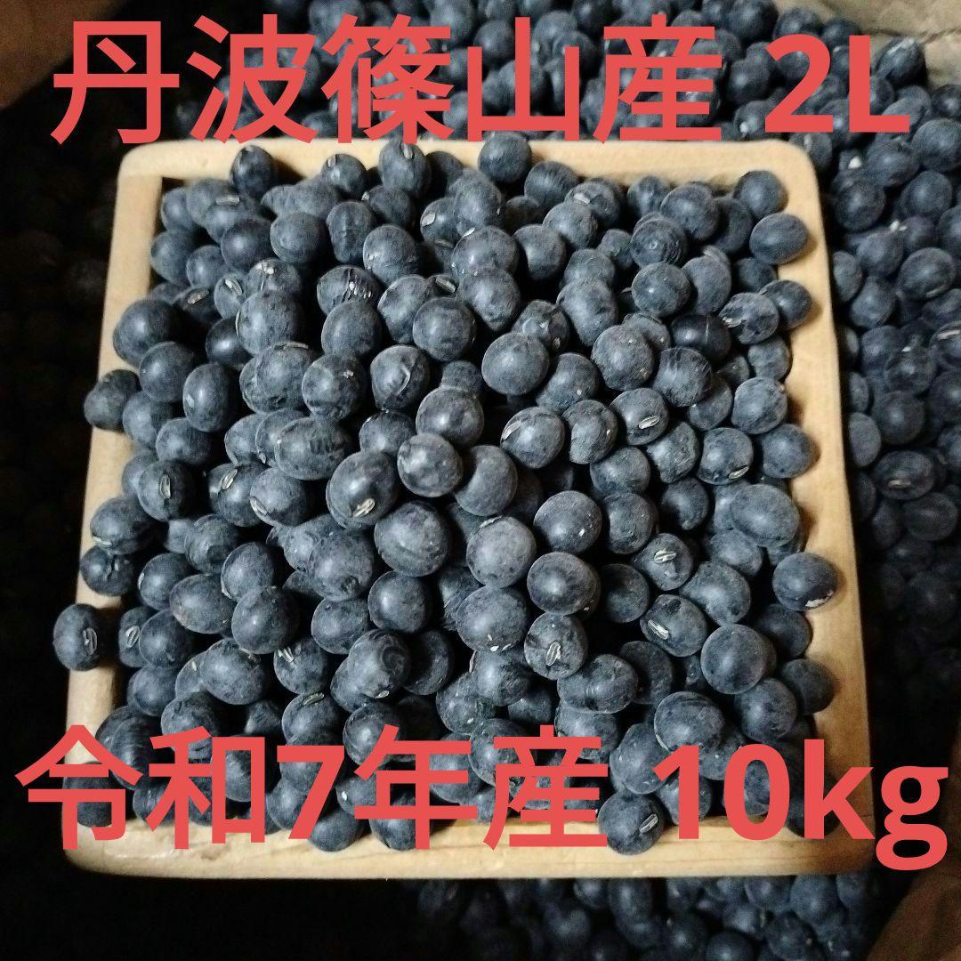 丹波篠山農協産 2L黒豆 10キロ 令和7年度新物