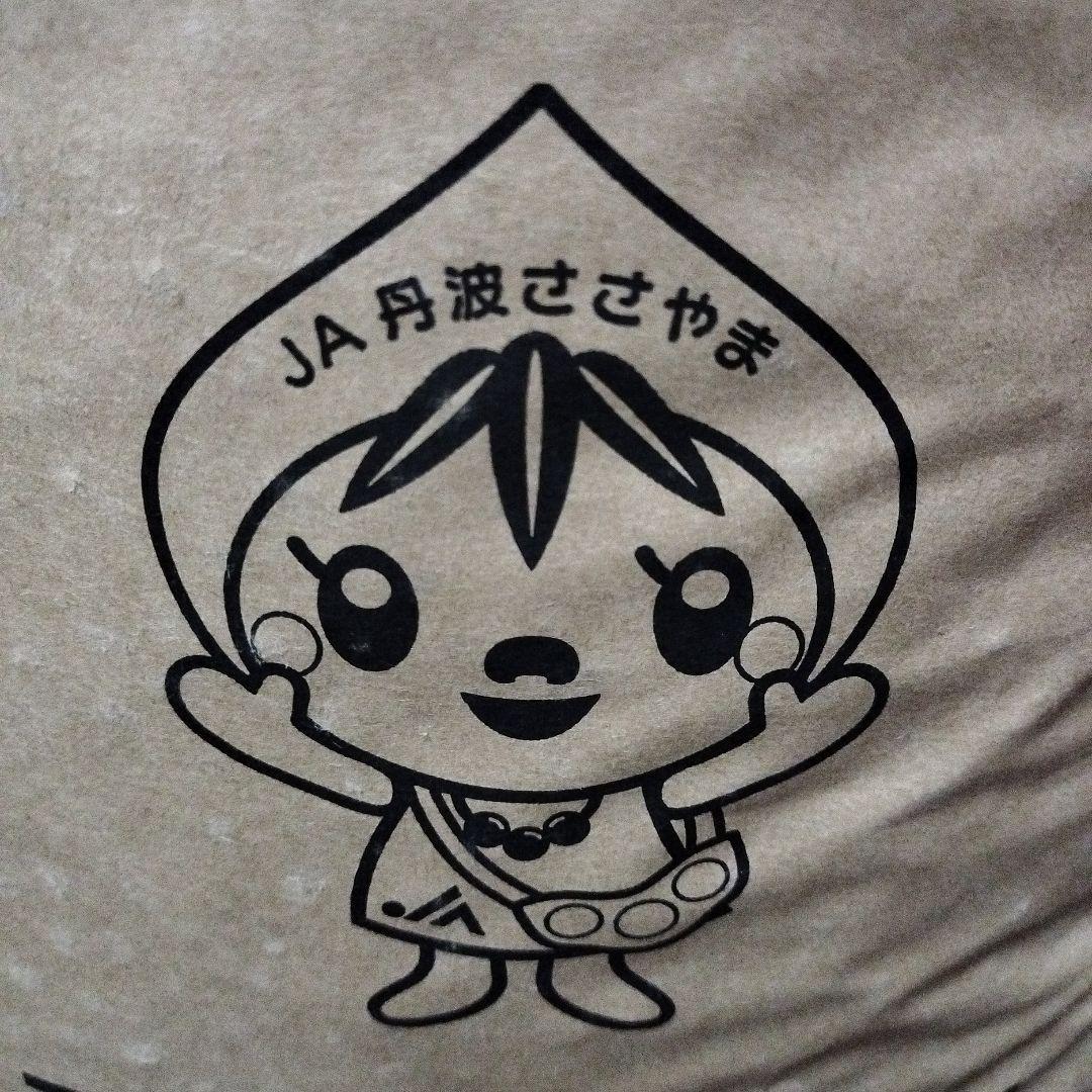 丹波篠山農協産 2L黒豆 10キロ 令和7年度新物