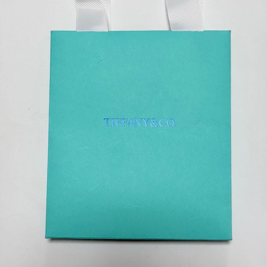 極美品　現行品　ティファニー　限定品　リングケース　空箱　ラブ　LOVE　最新