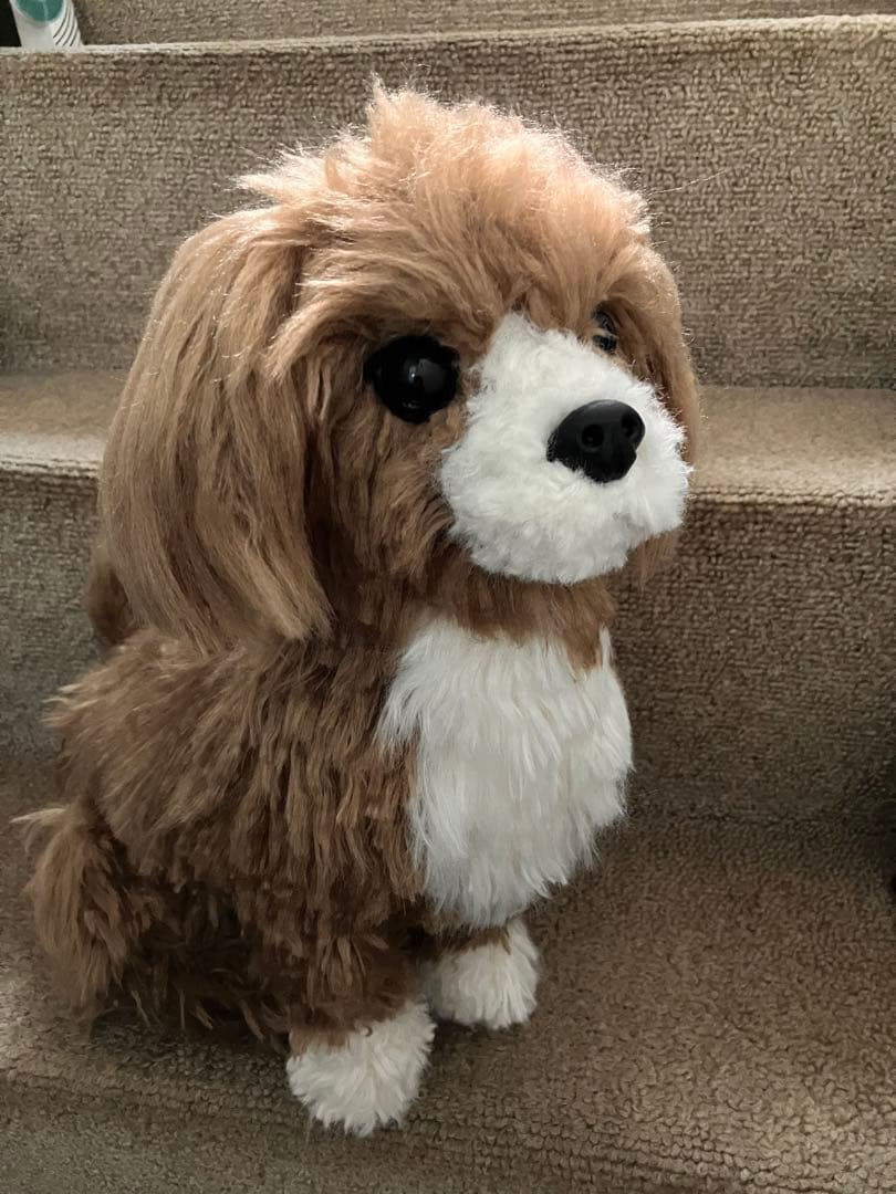 犬ぬいぐるみ　ミックス犬　ご確認用