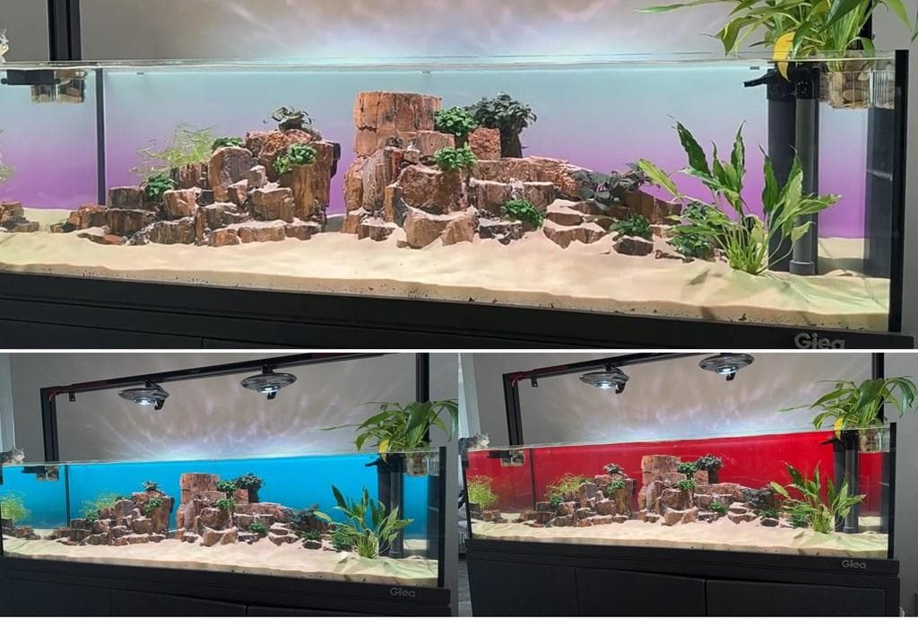 【b2l45】2色カラーLEDライトスクリーン OFF黒 45cm x 30cm