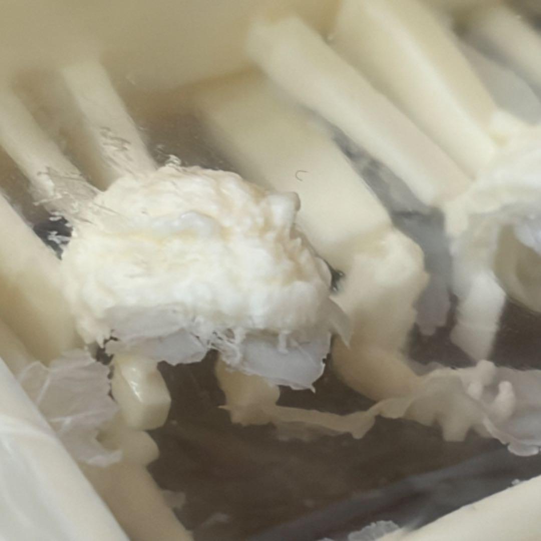 原型：しぃた θ ゴジラ第4形態覚醒Ver ガレージキット【内袋未開封】