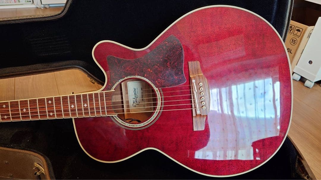 定価16万円 美品 Takamine DMP551C アコースティックギター