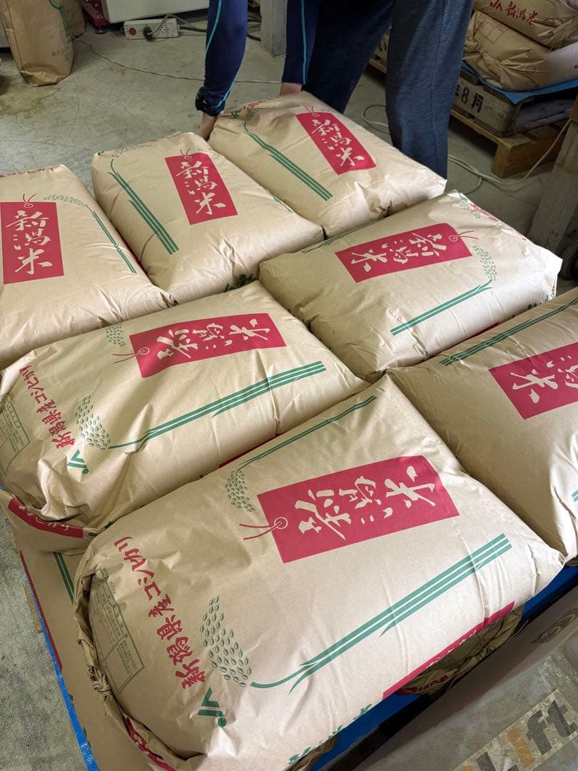 令和7年産　新潟県産コシヒカリ　玄米30㎏　農家直送　特別栽培米