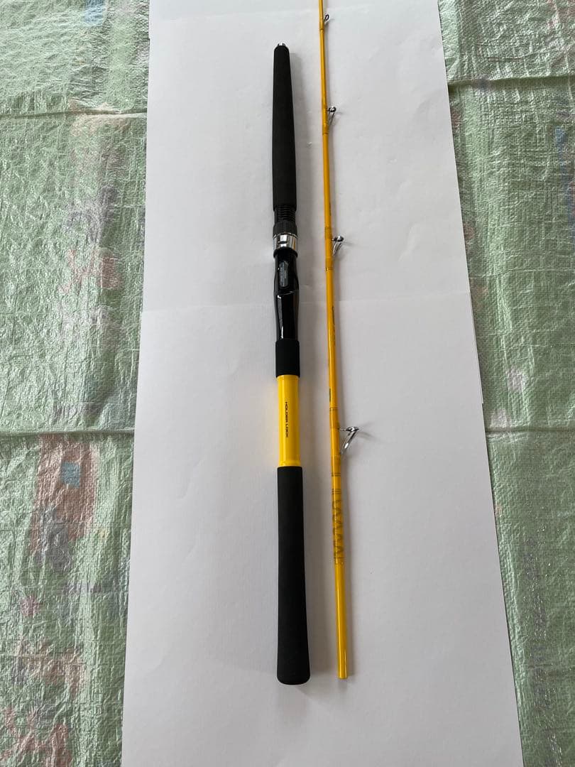 Daiwa ディーオ2 100-180 船竿