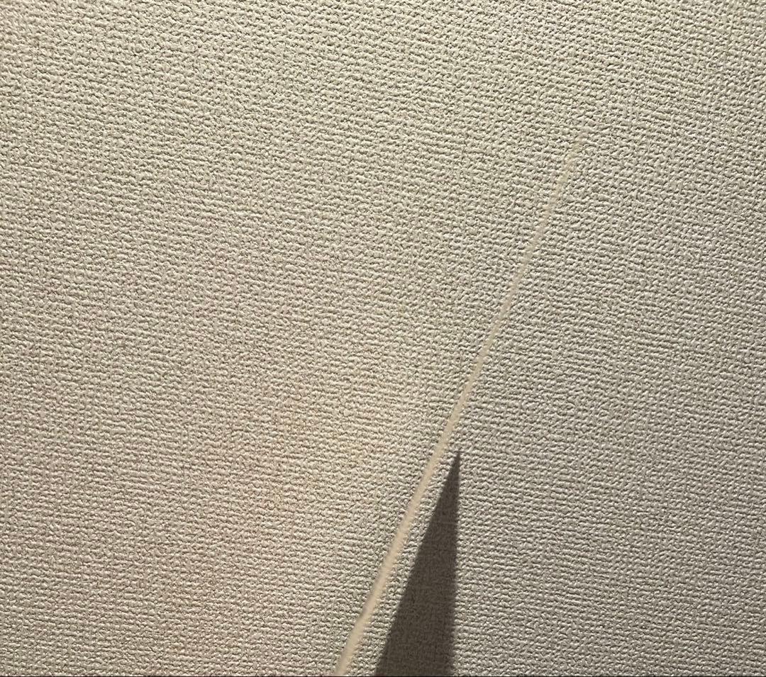 ヒトリエサイン入り色紙　wowaka 2016年