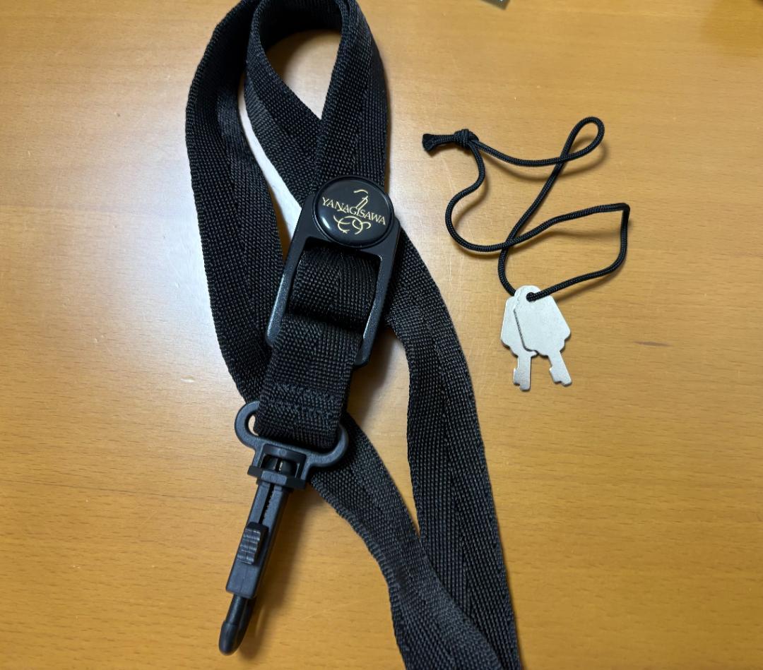 【本日限り】 YANAGISAWA T-WO2　テナーサックス