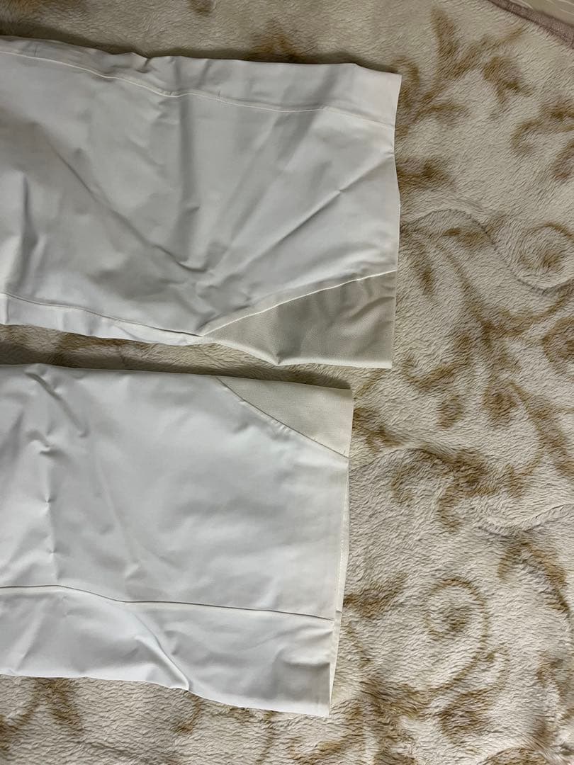 新品　GOLDWIN ALBIREO PANTS　W'sスキーパンツ L　Ⓗ